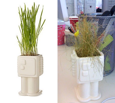 i Growbot i Growbot