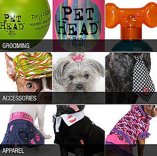 Bed Head Launches Pet Head