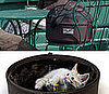 PetSugar Weekly Recap Quiz 2008-08-23 07:00:19