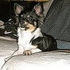 Pet Pics on Petsugar 2008-09-01 03:00:00