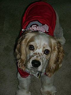 Pet Pics on Petsugar 2008-09-08 08:00:43