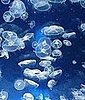 Crystal Jellyfish Lend a Hand to Medical Field