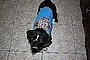 Pet Pics on Petsugar 2008-10-20 08:00:03