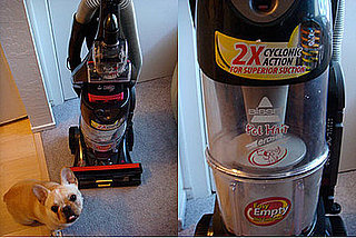 Bissell Pet Hair Eraser Review