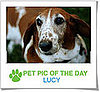 Pet Pics on Petsugar 2008-10-23 07:00:21