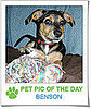 Pet Pics on Petsugar 2008-10-22 07:00:23