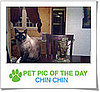 Pet Pics on Petsugar 2008-10-29 07:00:12