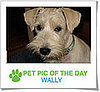 Pet Pics on Petsugar 2008-10-30 08:00:17