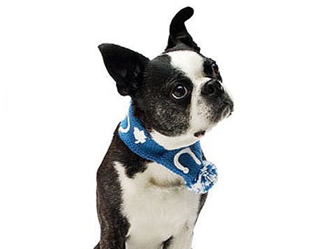 Lucky Charm Scarf ($16)