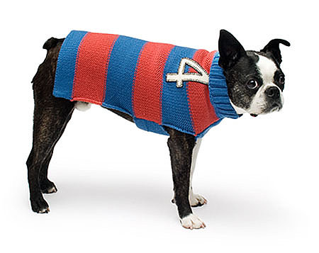 Rugby Stripe Sweater ($40)