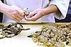 Top Chef Recap 5.9: Restaurant Wars