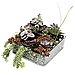 Earthy Elements