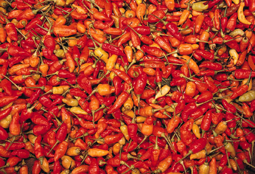 Can You Identify the Hot Pepper?