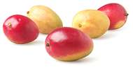 Fruit Spritzers Fruit Spritzers