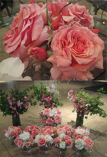 The Flowers The Flowers