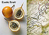 Exotic Fruit or City?