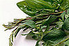 Can You Name That Herb?
