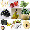 Get Excited for Fall Foods