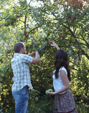 Do You Know Your Fall Produce?