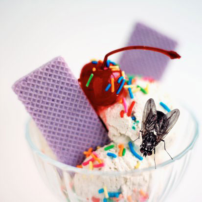 Let's Dish: What's the Grossest Thing You've Found in Food?