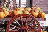 Come Party With Me: Pumpkin Patch Picnic — The Look