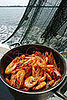 Yummy Links: From Crustaceans to Food Trends