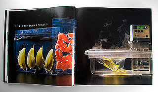 Yummy Links: From Under Pressure to Gwyneth Paltrow
