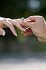 Should Engagement Announcements Include School and Work Details?