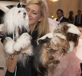 2008 Millionaire Fair