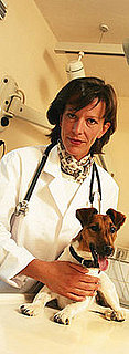 Top 10 Tips For Accidental Poisoning: In the LINK of an Eye!