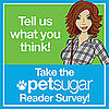 What Do You Want To Know About Animals?