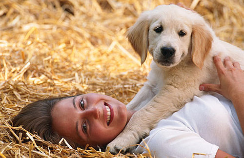 Do Beloved Dogs Raise Oxytocin As Much As Loved People?
