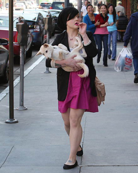 Kelly Osbourne Carries Her Unleashed Shiba Inu Pup Kelly Osbourne Carries Her Unleashed Shiba Inu Pup