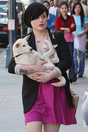 Kelly Osbourne Carries Her Unleashed Shiba Inu Pup Kelly Osbourne Carries Her Unleashed Shiba Inu Pup