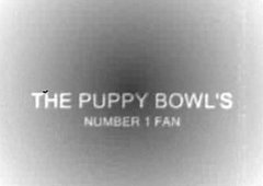 Will Your Pets Watch Puppy Bowl V? Will Your Pets Watch Puppy Bowl V?