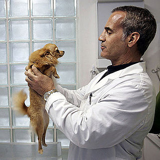Top 10 Poisons Reported to Animal Poison Control
