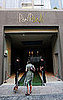 Behind-the-Scenes Peek at PawPaws Doggie Hotel in Sydney, Australia