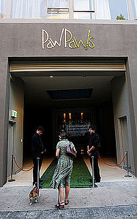 Behind-the-Scenes Peek at PawPaws Doggie Hotel in Sydney, Australia