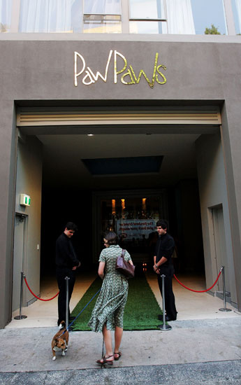 Behind-the-Scenes Peek at PawPaws Doggie Hotel in Sydney, Australia 2009-01-29 17:45:55 Behind-the-Scenes Peek at PawPaws Doggie Hotel in Sydney, Australia 2009-01-29 17:45:55