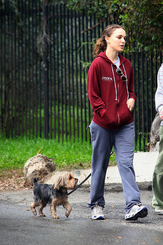 Natalie Portman Walks Her Dog Natalie Portman Walks Her Dog