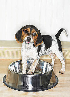 Two More Peanut Butter Treat Recalls: In the LINK of an Eye!