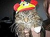 The Cat in the Hat . . . Literally