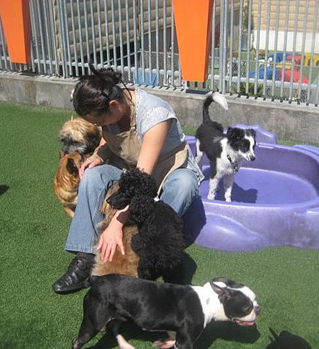 Shop Spotlight: North's at Pet Camp!