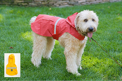Come PetMarking With Me: April Showers