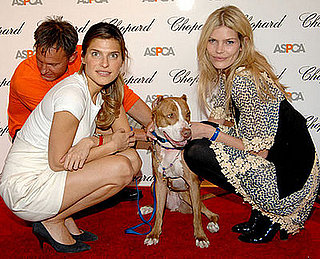The Scoop: America's Next Top Dog