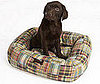 Trend Setters: Madras Crewmutts