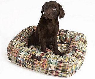 Sugar Shout Out: Pup Decor Goes Boat Trip Chic
