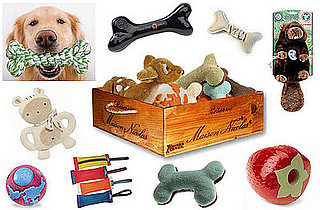 Sugar Shout Out: Win a Box of Eco-Friendly Dog Toys!
