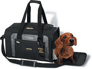Does Your Pet Need Frequent Flier Miles?