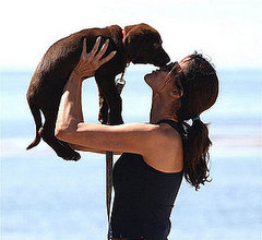 New Puppy Alert! Janice Dickinson New Puppy Alert! Janice Dickinson